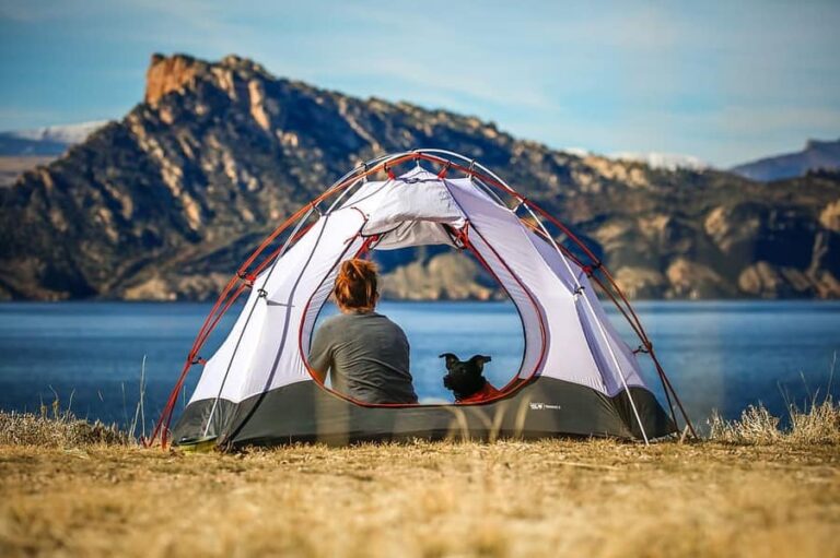 Best Tent For Dogs Review