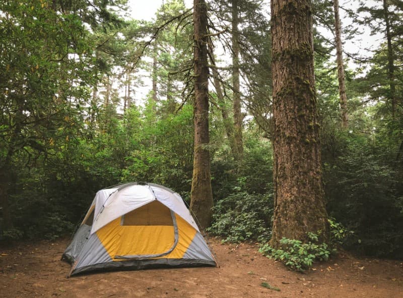 Tent seasonality