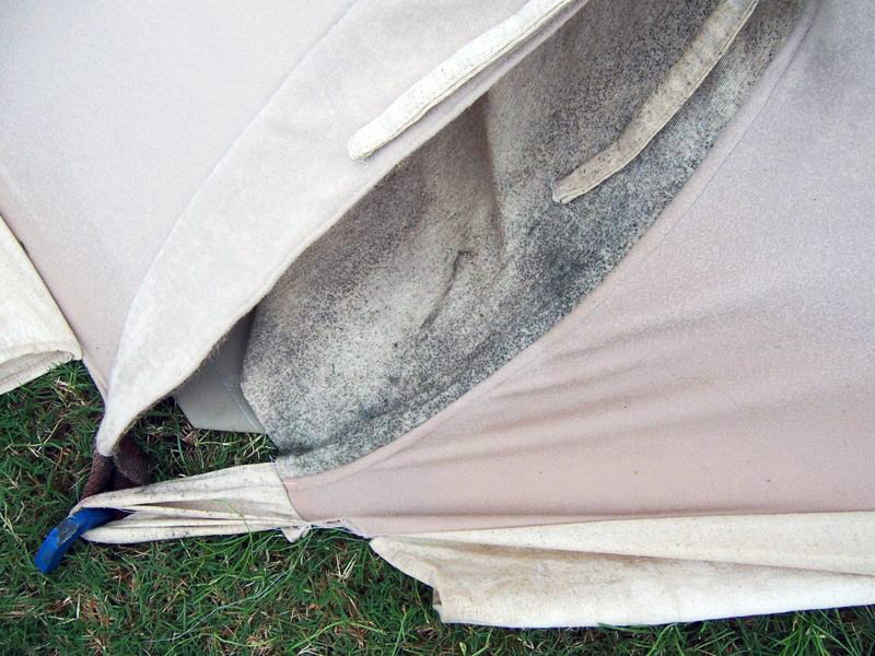 Mold on a tent